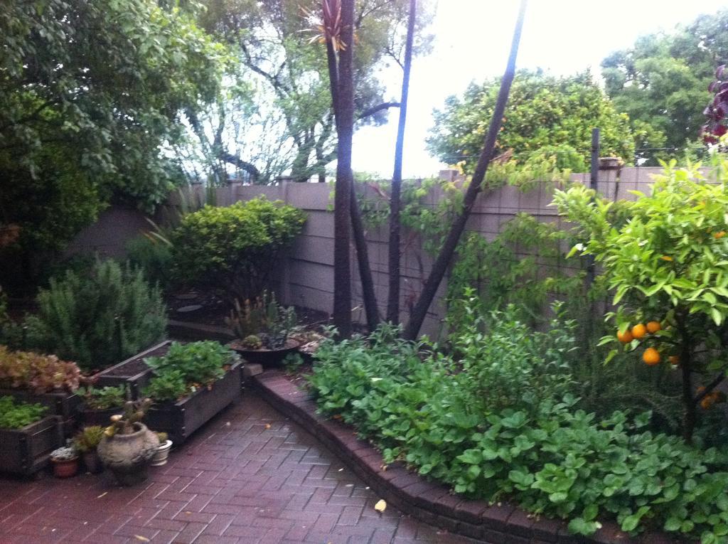 The Crown Guest House Bethlehem Exterior foto